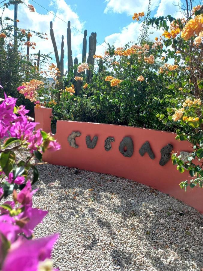 Bed and Breakfast Happy Curoase Willemstad Exterior foto