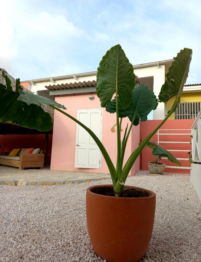 Bed and Breakfast Happy Curoase Willemstad Exterior foto