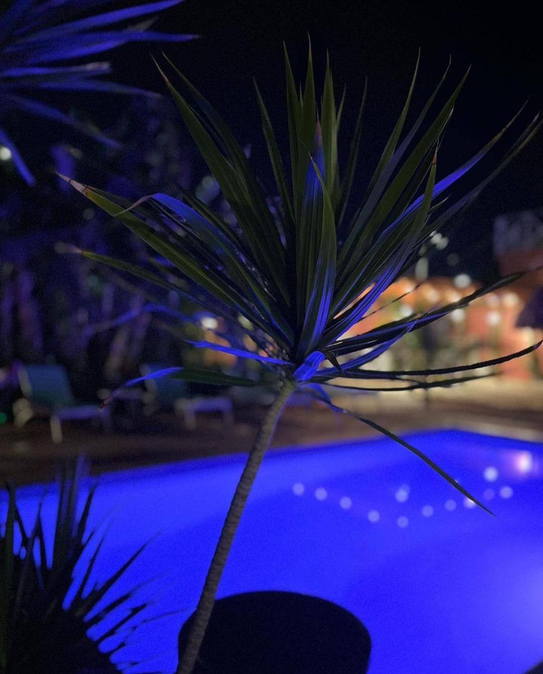 Bed and Breakfast Happy Curoase Willemstad Exterior foto