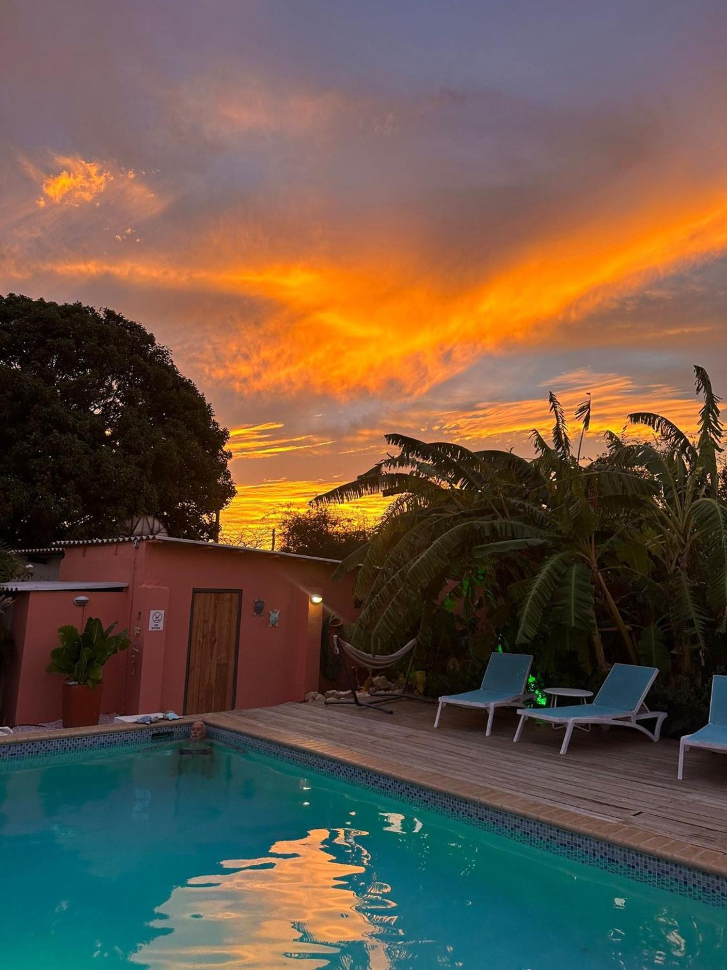 Bed and Breakfast Happy Curoase Willemstad Exterior foto