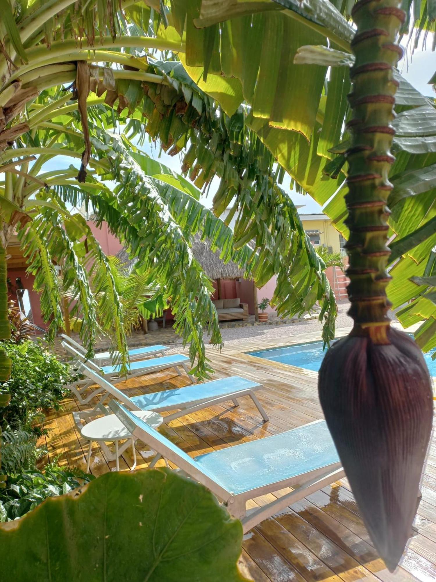 Bed and Breakfast Happy Curoase Willemstad Exterior foto